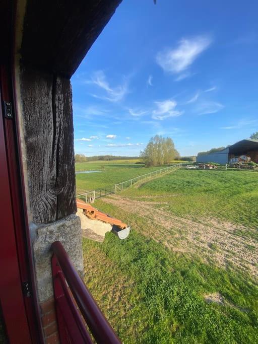 Villenouan Domaine Et Gites Lailly-en-Val Exterior foto