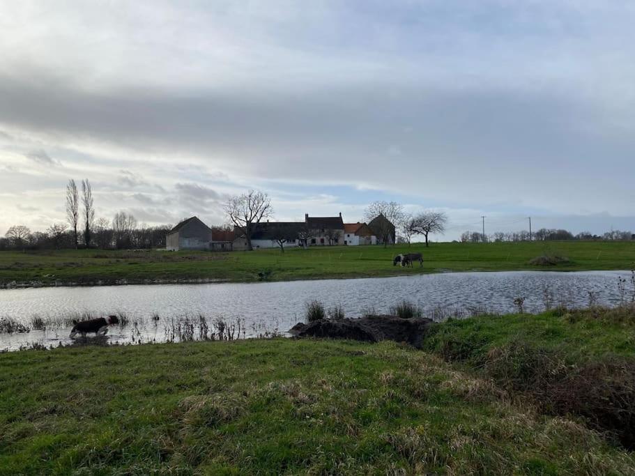 Villenouan Domaine Et Gites Lailly-en-Val Exterior foto